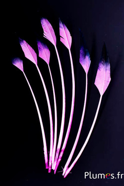 Cygne flèche - 28-33 cm - rose-noir